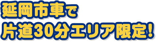 延岡市車で片道30分エリア限定！